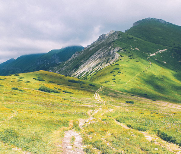 手机号测压平台